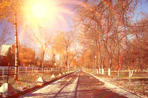 landscape in autumn park sun rays first snow