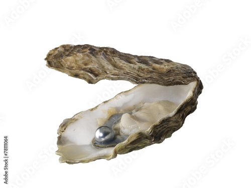 Oyster photo