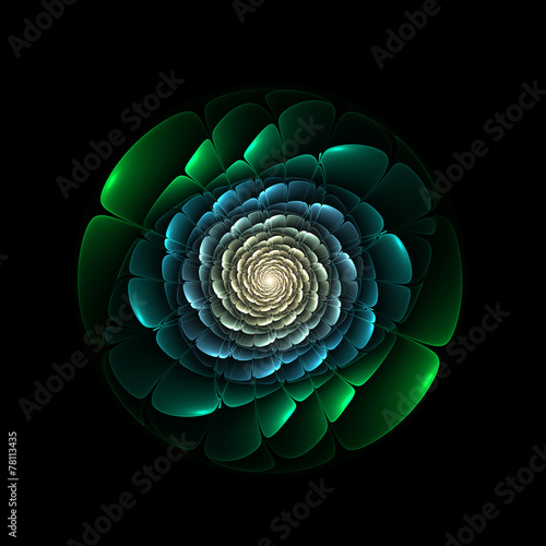 Abstract fractal flower isolated over black background,