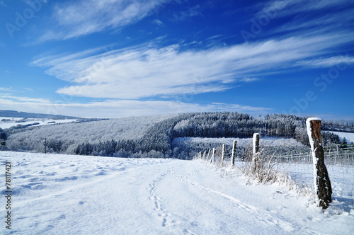 winter landscape © meryll