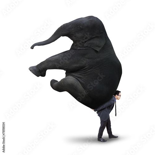 Photography Male manager with heavy elephant