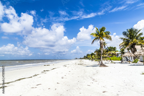 beach at Fort Myers in america