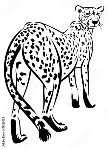 Cheetah silhouette