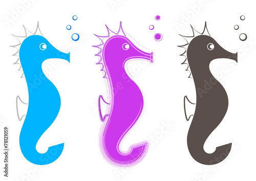 Animal marin - Hippocampe