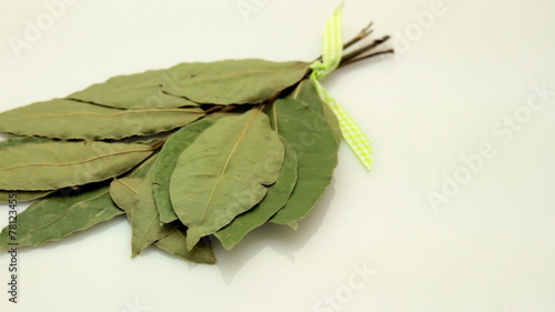 bay leaf tracking on white