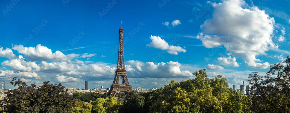 Fototapeta premium Eiffel Tower in Paris, France