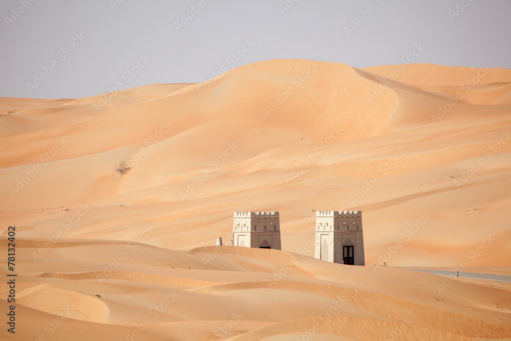 Naklejka premium Dunes in the Liwa Desert, Abu Dhabi, United Arab Emirates
