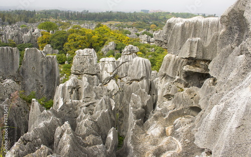 Shi Lin stone forest national park. Kunming. China. photo