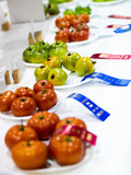 Tomatoes with Ribbons at an Agricultural Competition