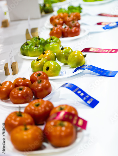 Tomatoes with Ribbons at an Agricultural Competition