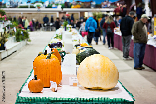 Vegetables in an Agricultural Fall Fair Competition