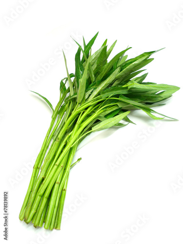 water spinach isolated on white background