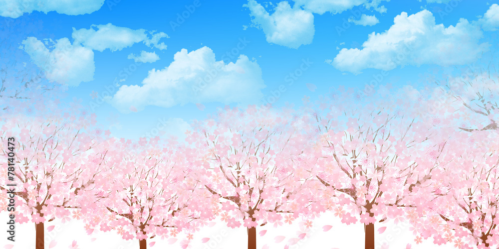 Naklejka premium 桜 花 背景
