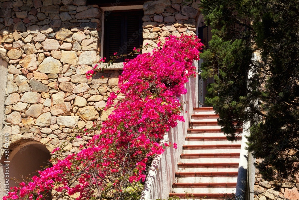 Fototapeta premium Flower house