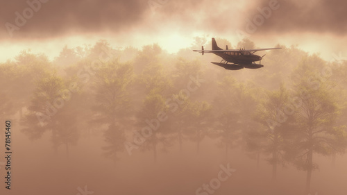 Fotografi Float plane flying in fog or mist