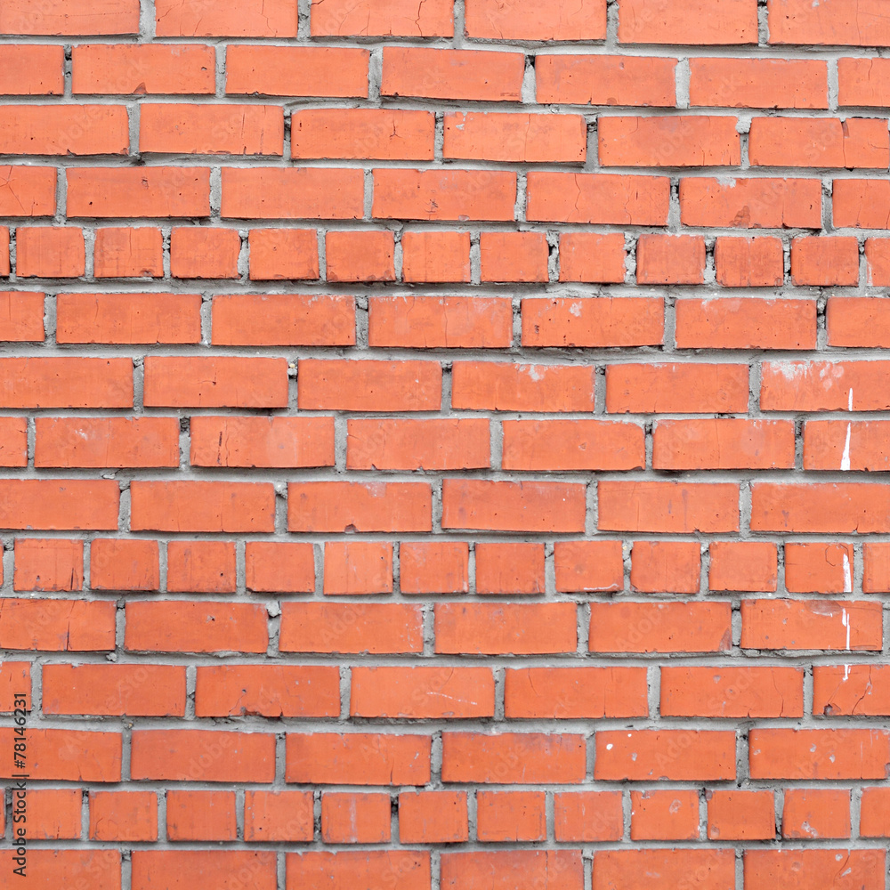 Obraz premium Brick wall