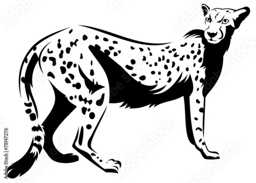 Cheetah outline