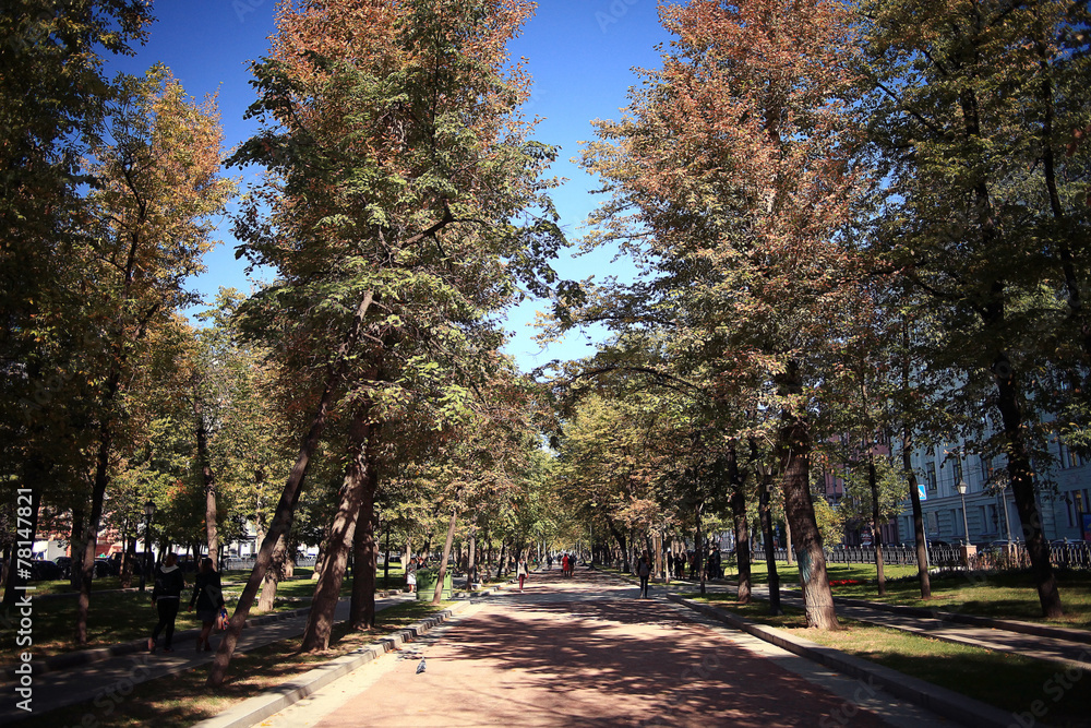 Fototapeta premium autumn landscape in the city park
