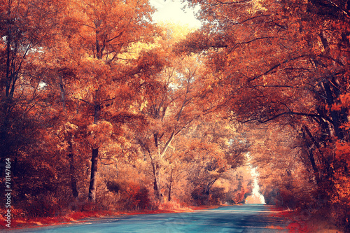 Fotografía golden autumn landscape Indian summer