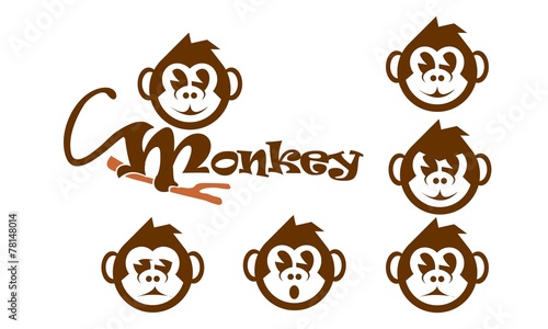 Fototapeta Naklejka Na Ścianę i Meble -  Monkey expression variation