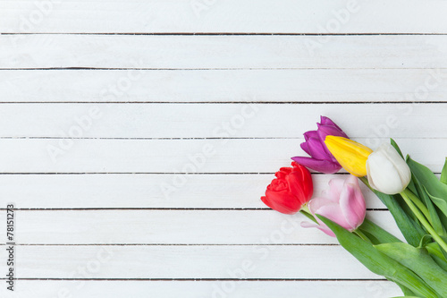 Fototapeta Naklejka Na Ścianę i Meble -  Tulips of different colors