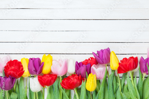 Fototapeta Naklejka Na Ścianę i Meble -  Tulips of different colors