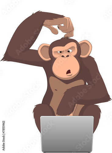 Monkey and computer