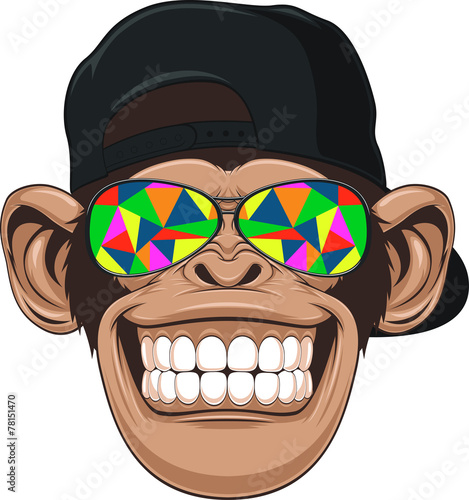 Funny monkey with glasses