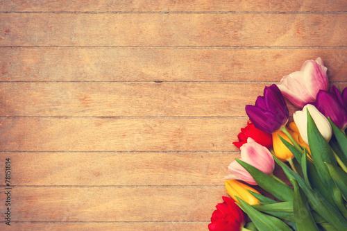 Fototapeta Naklejka Na Ścianę i Meble -  Tulips of different colors