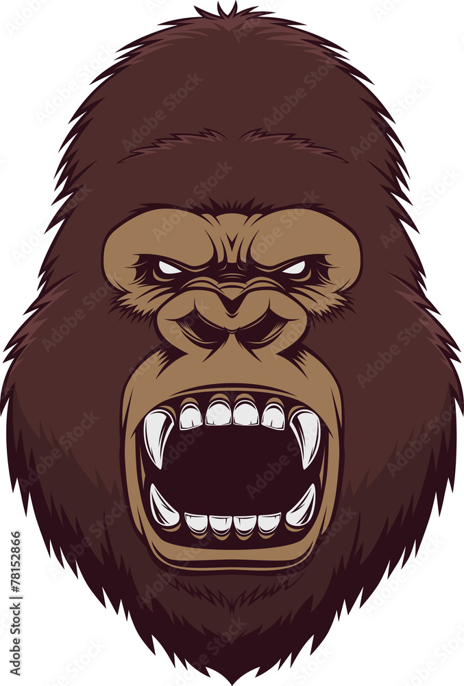 Angry gorilla head Angry gorilla head