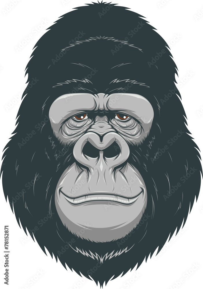 Obraz premium Happy monkey