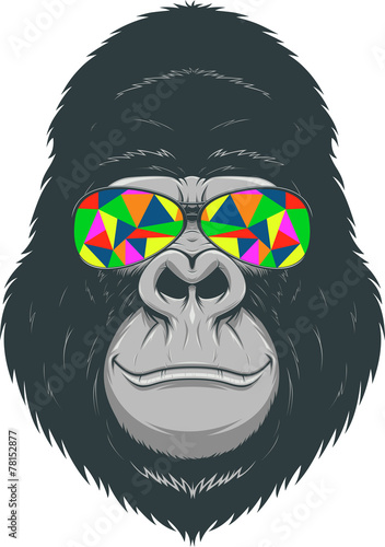Cheerful monkey