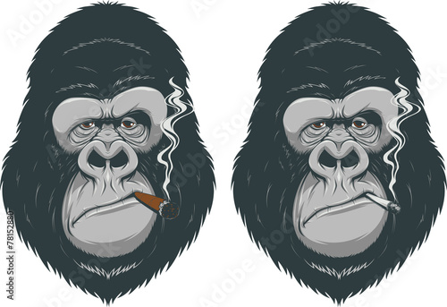 Monkey with a cigarette