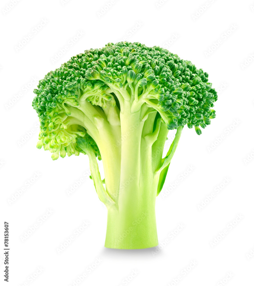 broccoli isolated on white background broccoli isolated on white background