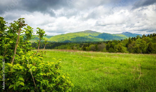 Bieszczady Mountains, Poland