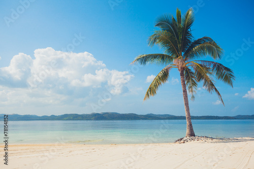 Fototapeta Naklejka Na Ścianę i Meble -  Single palm tree on tropical beach