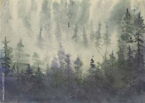 misty pine forest