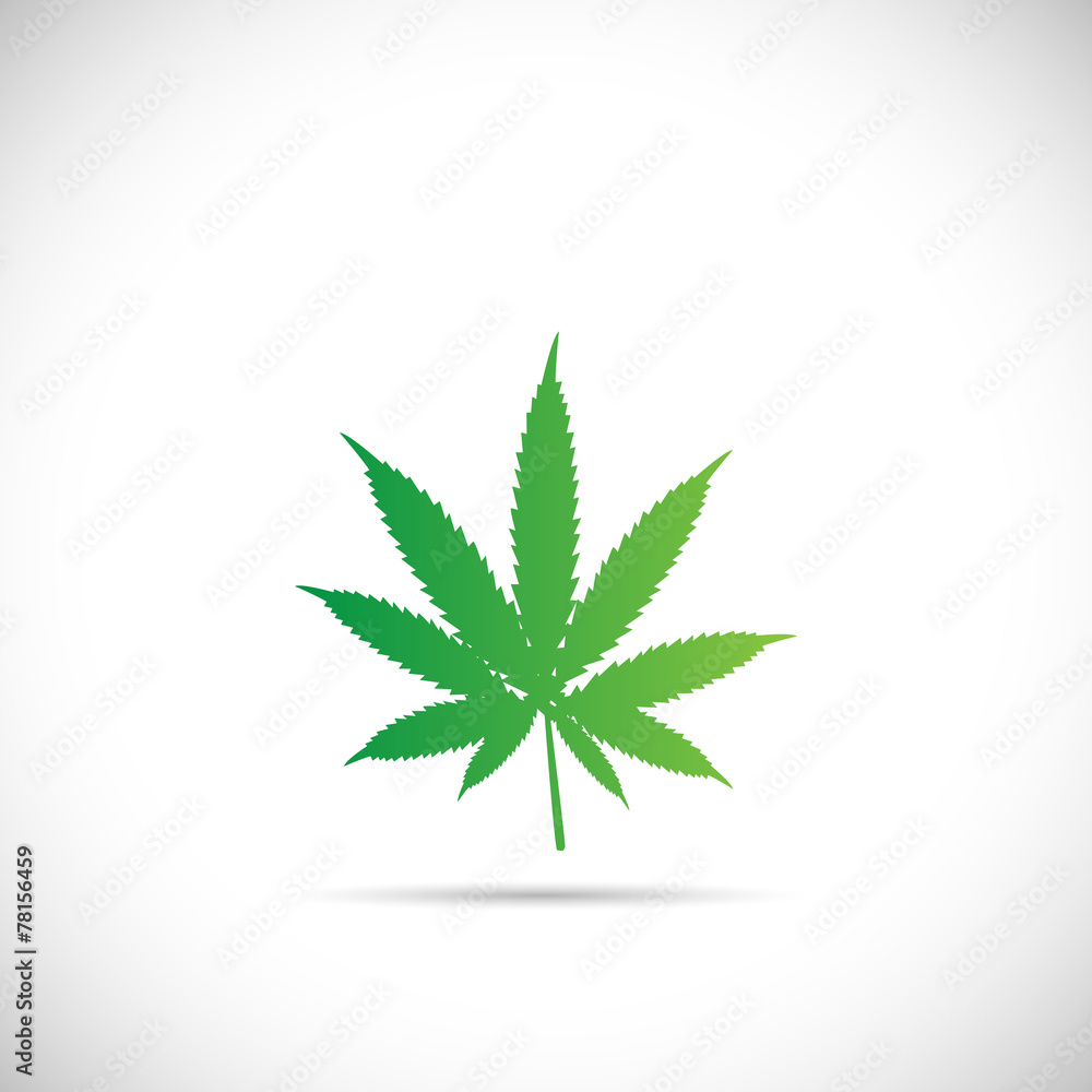 Marijuana Plant Illustration Marijuana Plant Illustration