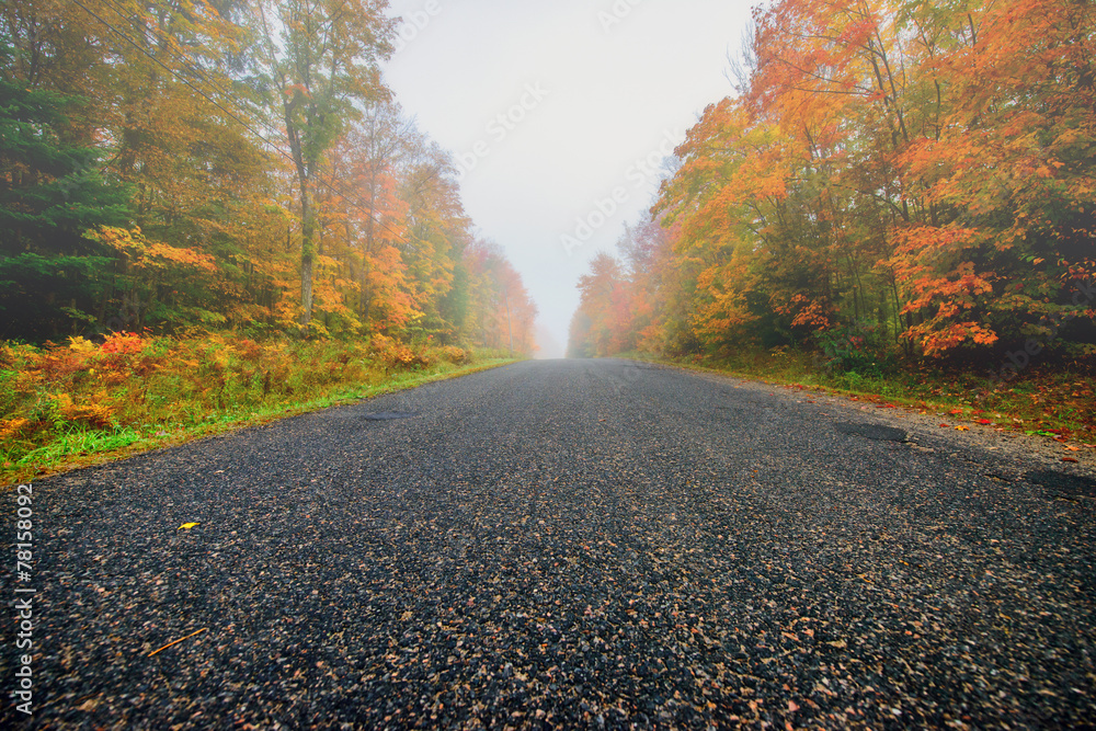 Misty Rural Road Through Autumn Trees Misty Rural Road Through Autumn Trees