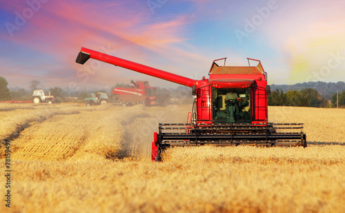 Wheat field with harvester