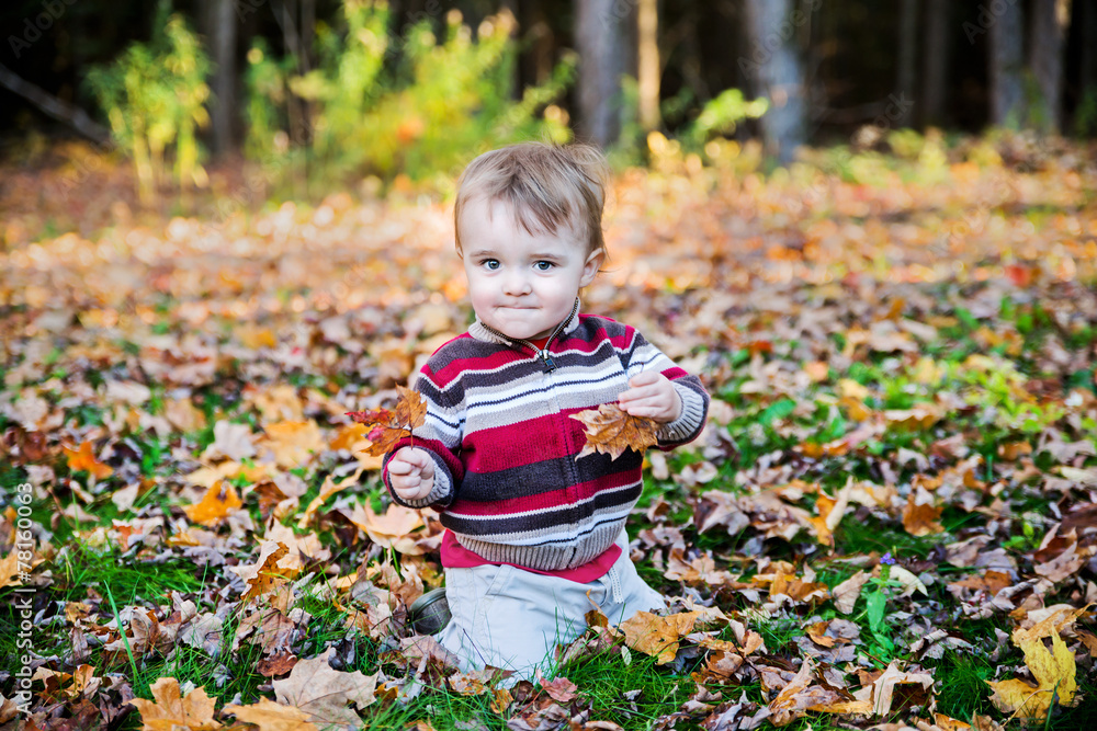 Boy Sits Holding an Autumn Maple Leaf in Each Hand Boy Sits Holding an Autumn Maple Leaf in Each Hand