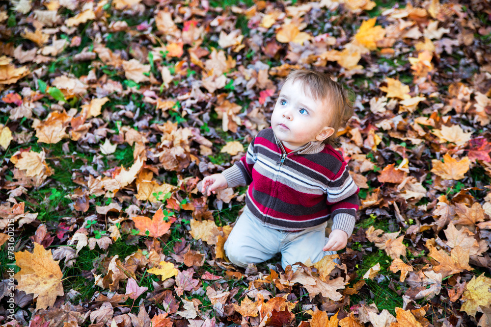 Boy Sitting on Leaf Covered Ground In Autumn Looking Up Boy Sitting on Leaf Covered Ground In Autumn Looking Up