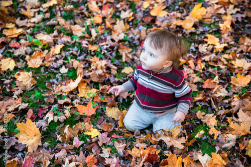 Boy Sitting on Ground Covered Fall Leaves Looking Up