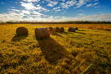 Bales of Hay in a Field - Wide angle