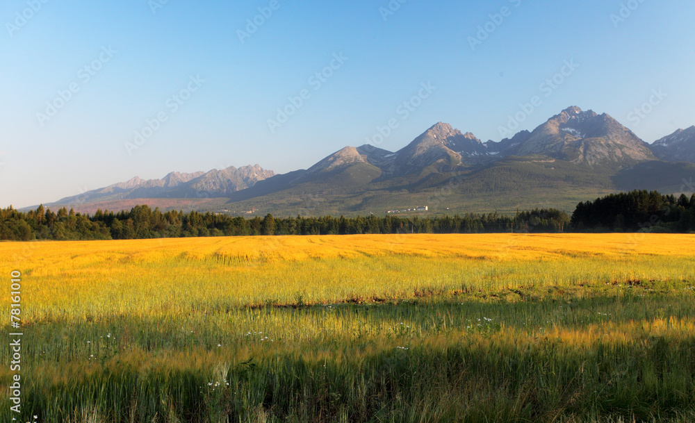 Meadow and mountain