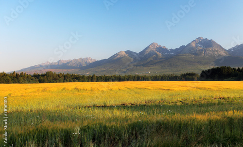 Meadow and mountain