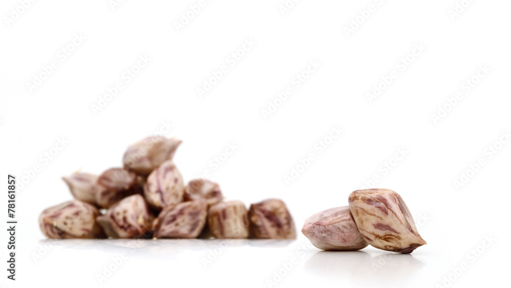 peanut isolated on white background peanut isolated on white background