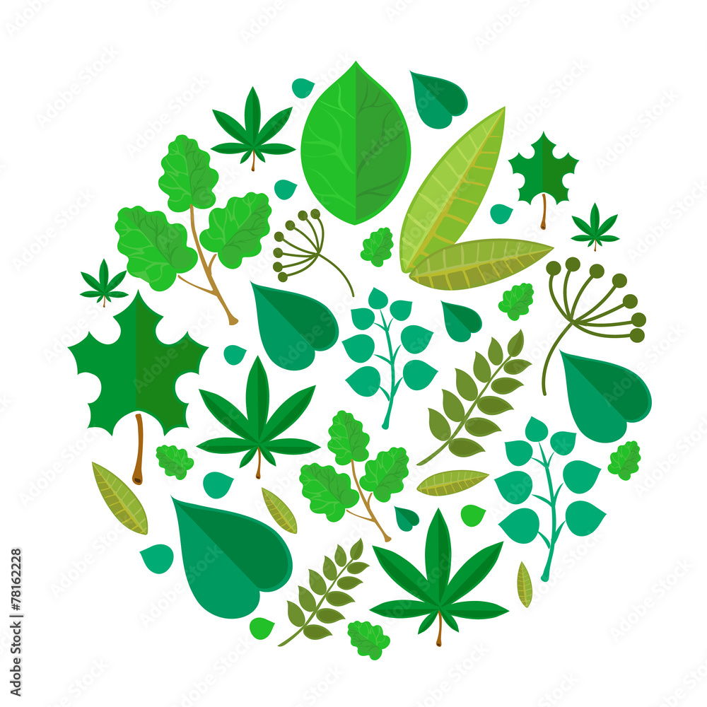 Green leaves abstract background. Vector illustration.