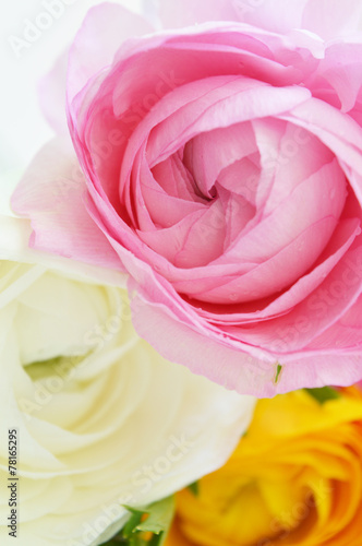 Fototapeta Naklejka Na Ścianę i Meble -  Flowers