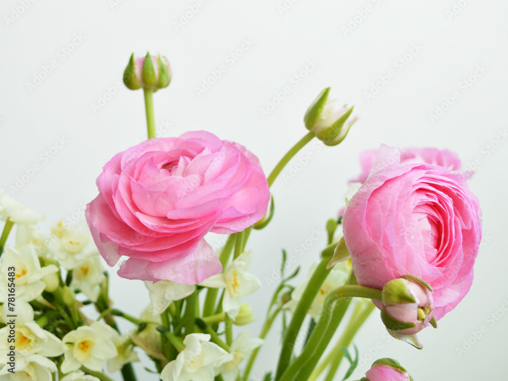 Fototapeta premium Flowers